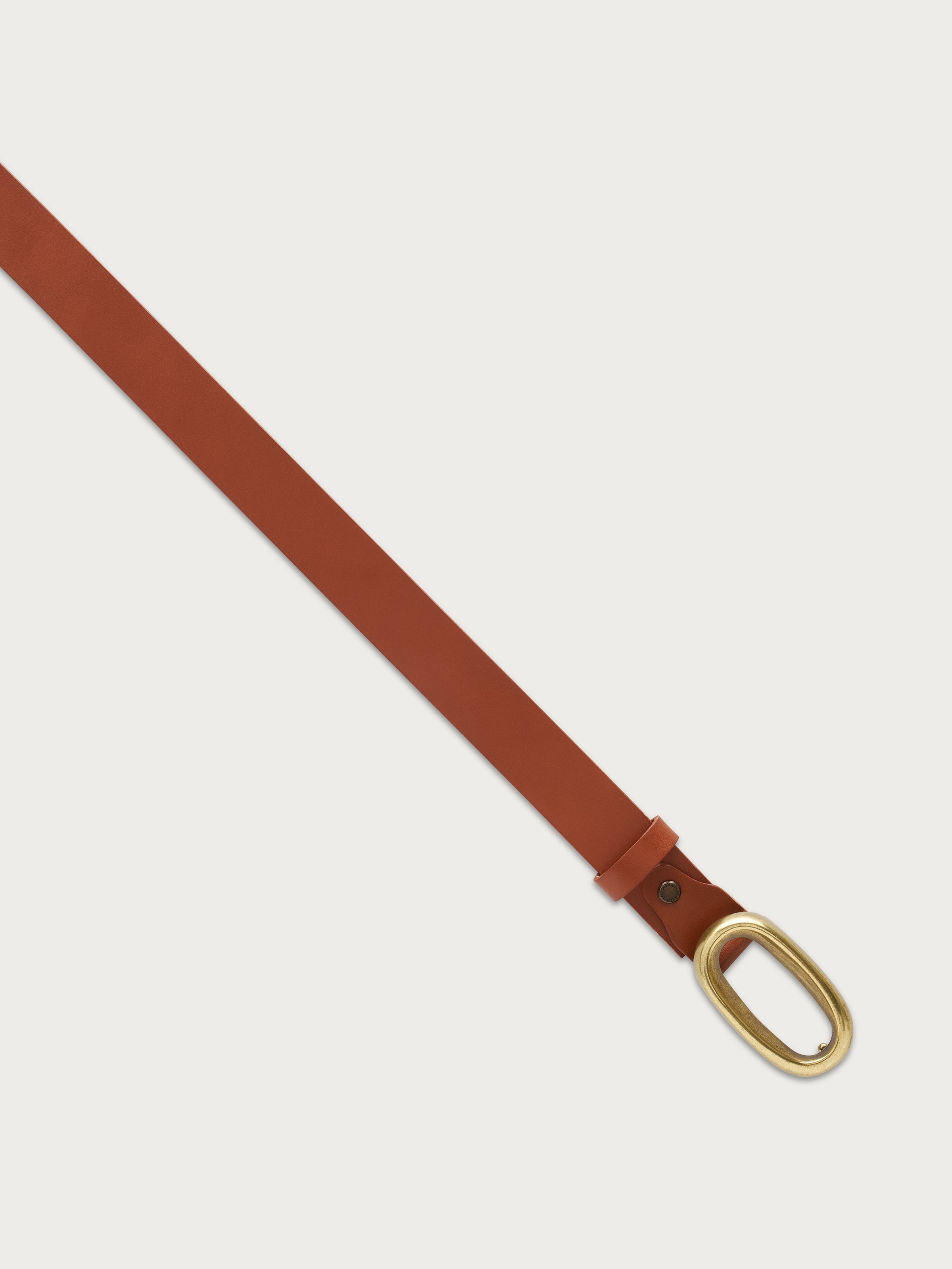 A202C_CUOIO_10