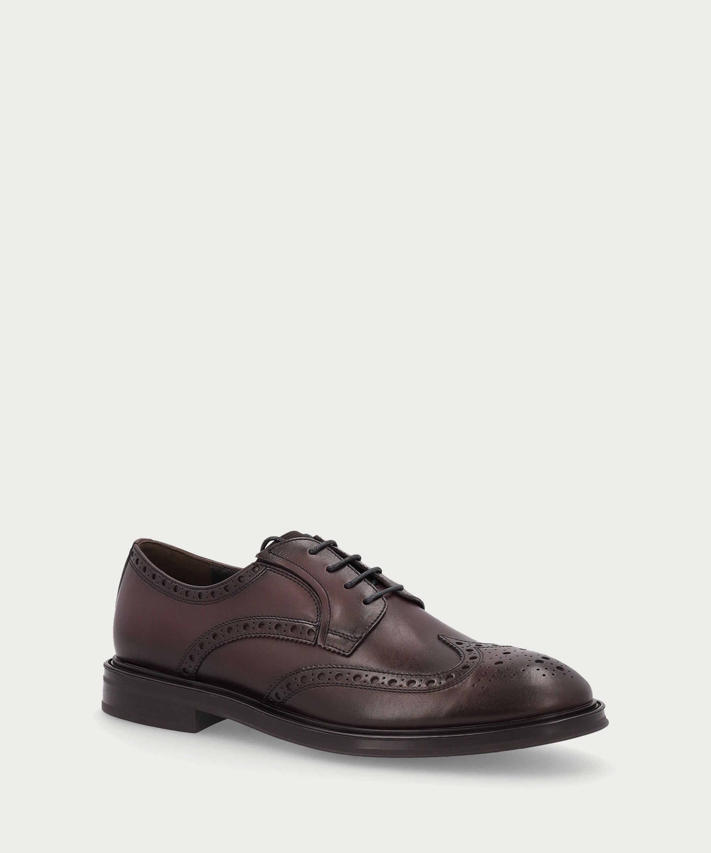Men's Oxford shoes with wing-tip design in airbrushed calfskin